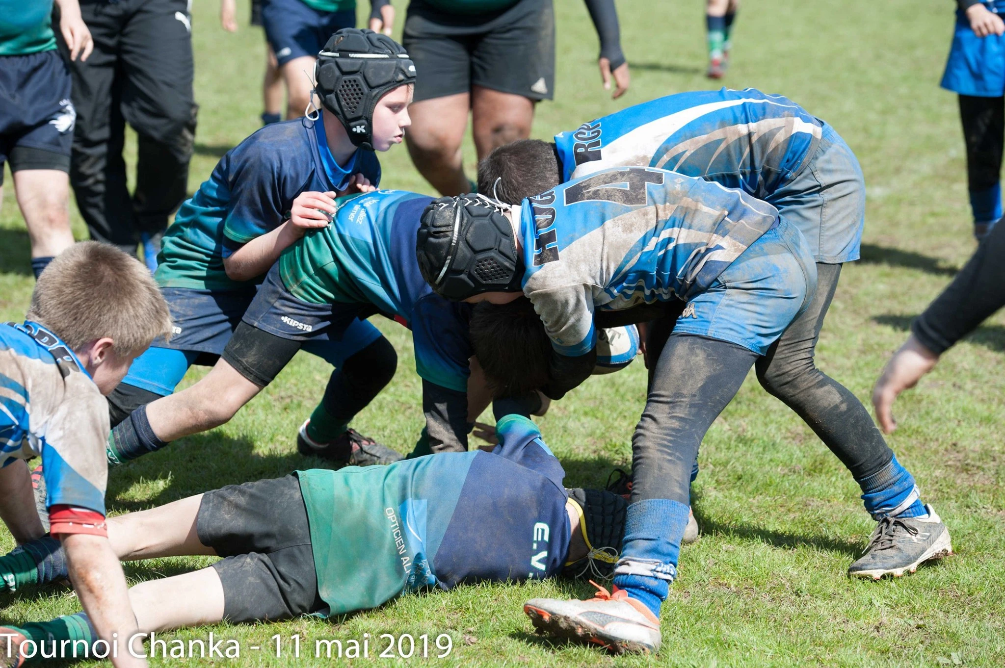 Un groupe de jeunes joueurs de rugby participe intensément à un match sur un terrain herbeux. Les joueurs, vêtus de maillots bleus, verts et noirs et certains portant des casques de protection, sont au milieu d'une mêlée physique. Un joueur est au sol, tenant fermement le ballon de rugby, tandis que d'autres se penchent, poussent et rivalisent pour la possession. Les uniformes des joueurs sont visiblement sales, signe d'un match âprement disputé et vigoureux. La scène capture l’énergie brute, la détermination et le physique du rugby des jeunes.